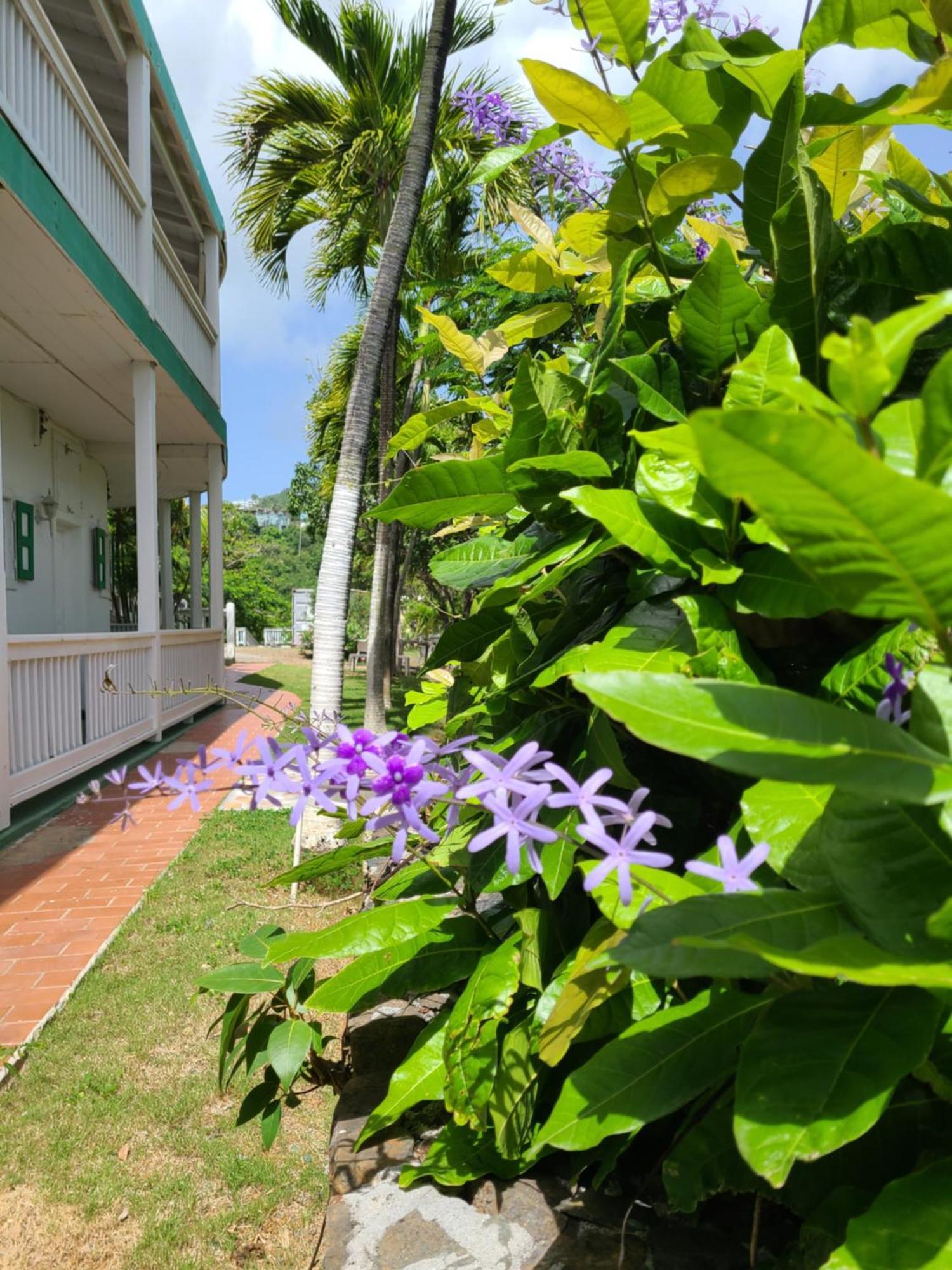 Boundless Bliss Hotel 拿撒勒 外观 照片